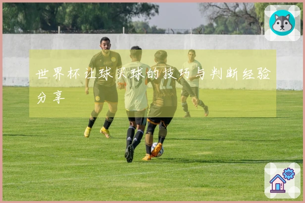 世界杯让球买球的技巧与判断经验分享