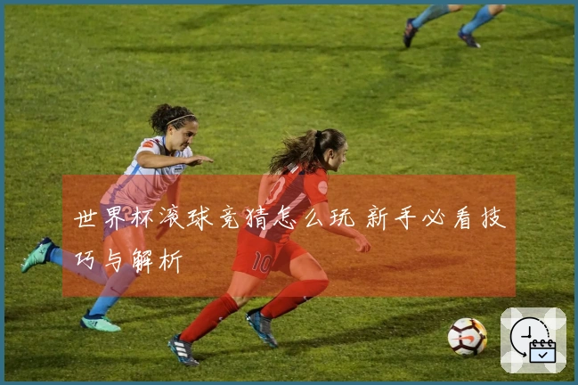 世界杯滚球竞猜怎么玩 新手必看技巧与解析