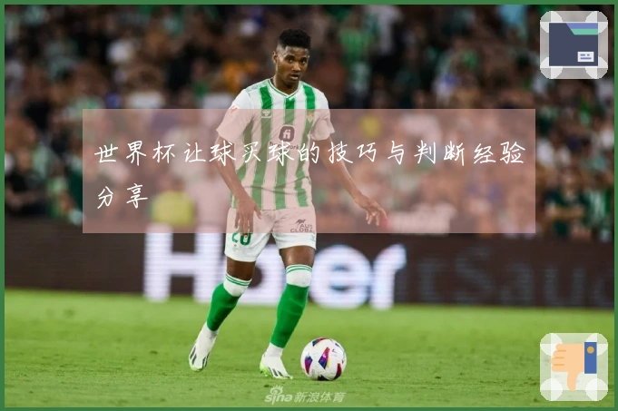 世界杯让球买球的技巧与判断经验分享