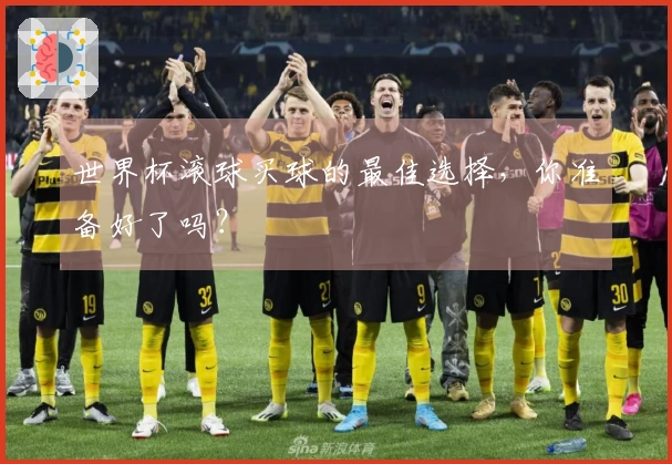 世界杯滚球买球的最佳选择，你准备好了吗？