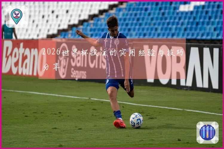 2026世界杯投注的实用经验与技巧分享