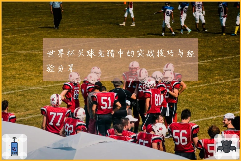 世界杯买球竞猜中的实战技巧与经验分享