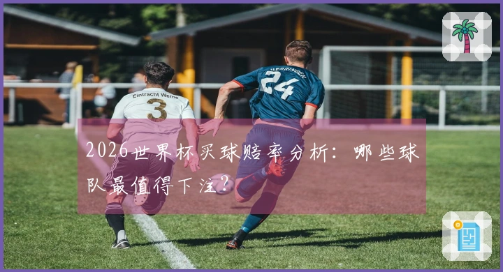 2026世界杯买球赔率分析：哪些球队最值得下注？