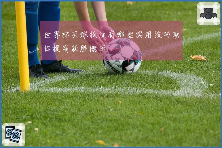 世界杯买球投注有哪些实用技巧助你提高获胜概率