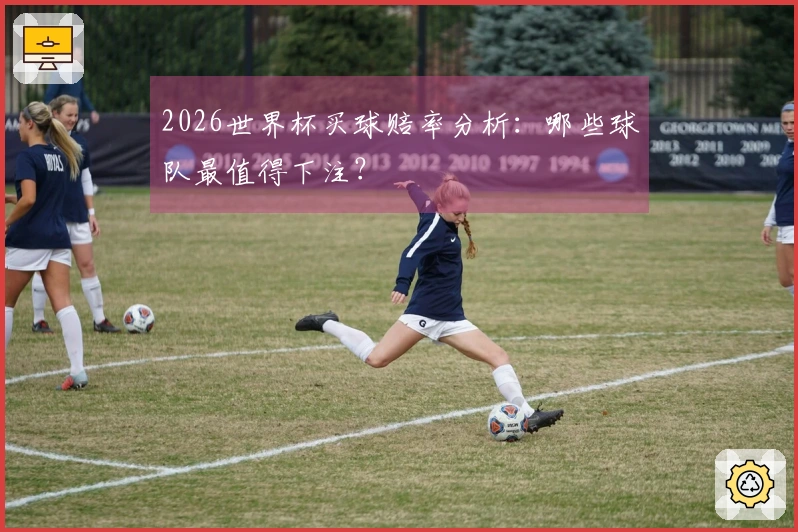 2026世界杯买球赔率分析：哪些球队最值得下注？