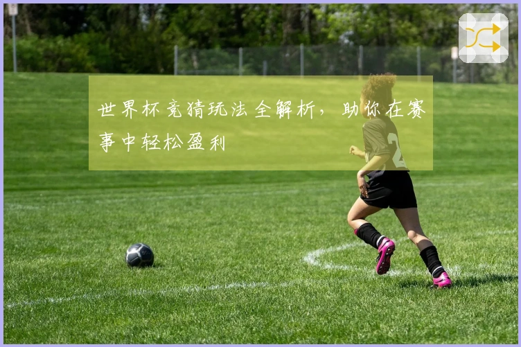 世界杯竞猜玩法全解析，助你在赛事中轻松盈利