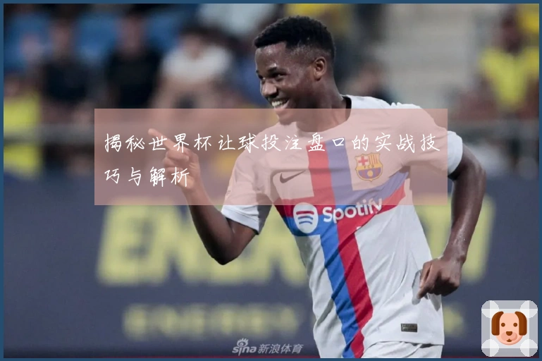 揭秘世界杯让球投注盘口的实战技巧与解析